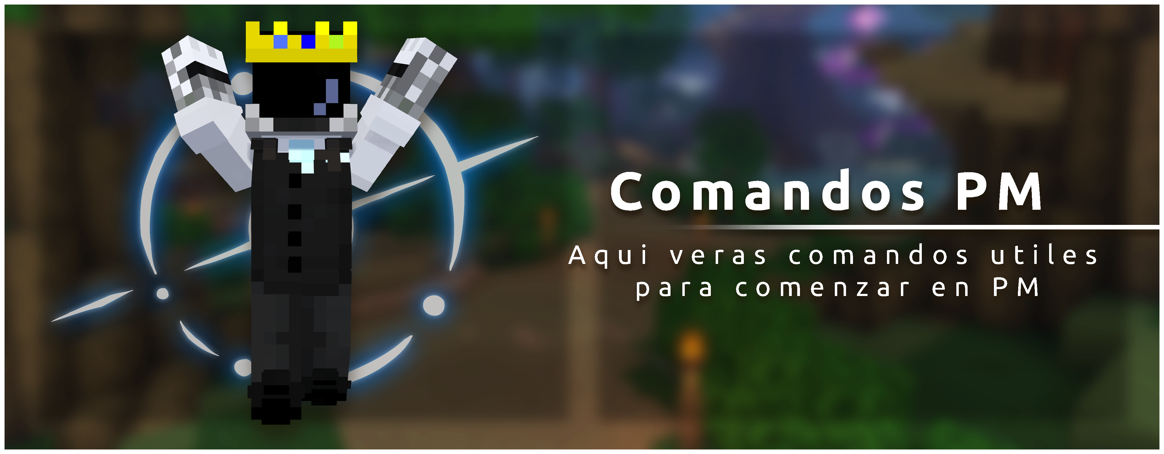 Comandos de Pueblito Mayico